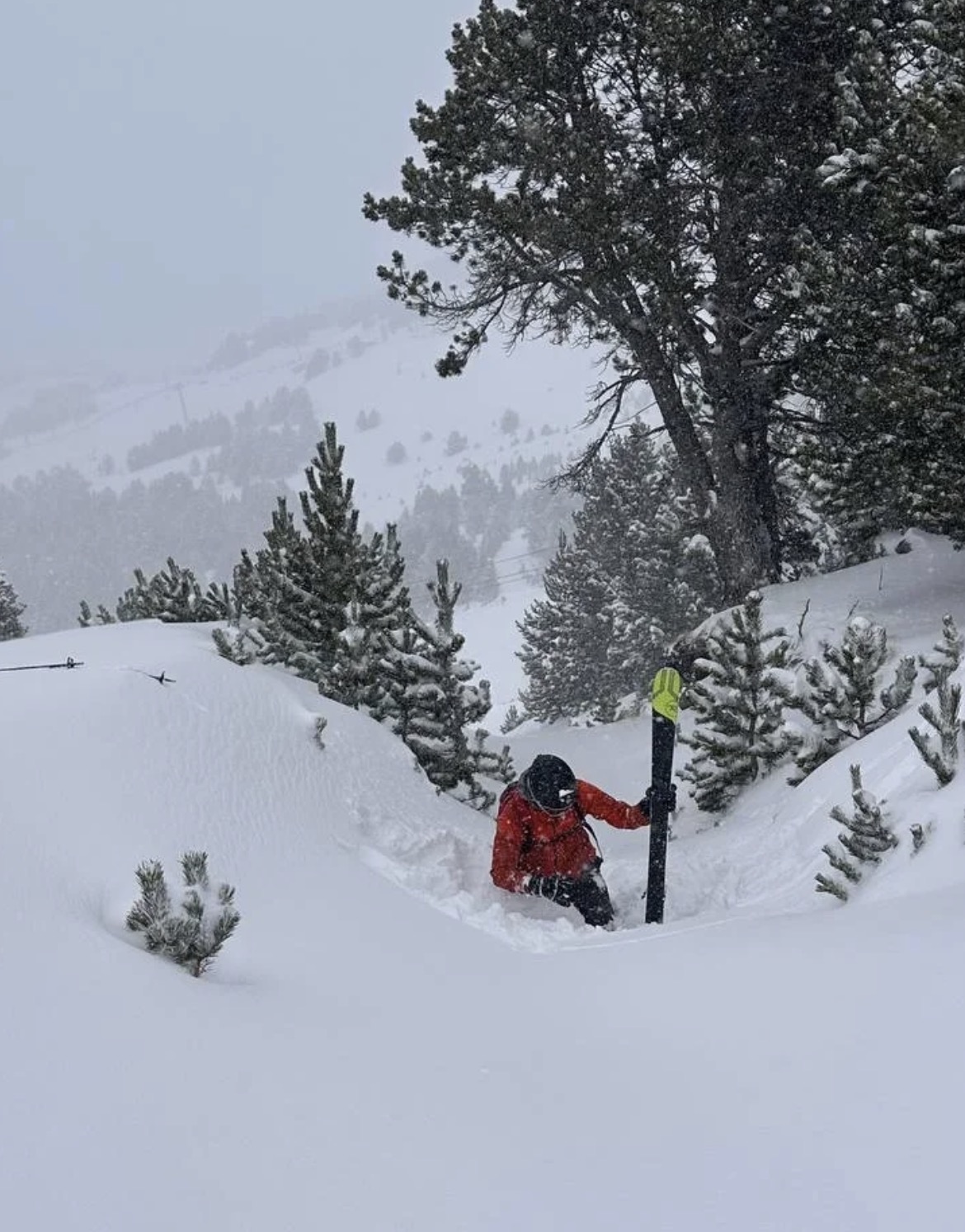 Snow — deep powder